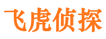 双柏市婚外情调查